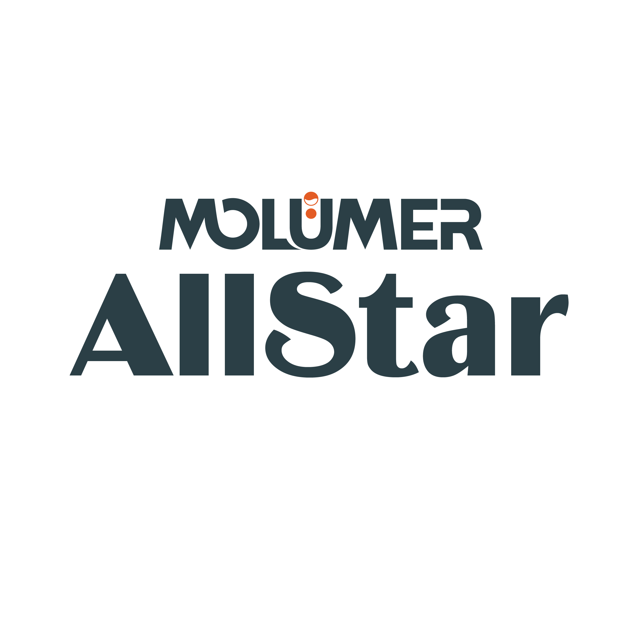 Molümer Logo - Kurumsal Logo Renkleri